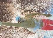 开云世界杯2026-上海队全面压制鹈鹕，福克斯关键制胜